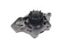 GK 980295 Water Pump